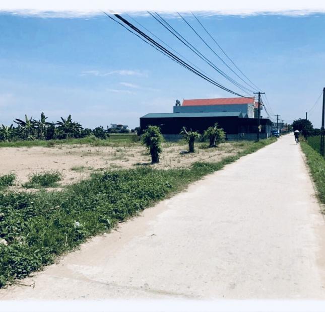 Bán thu hồi vốn mảnh đất tại thôn Đông La,Hồng Quang,Thanh Miện,HD. Gọi: 037 280 4242