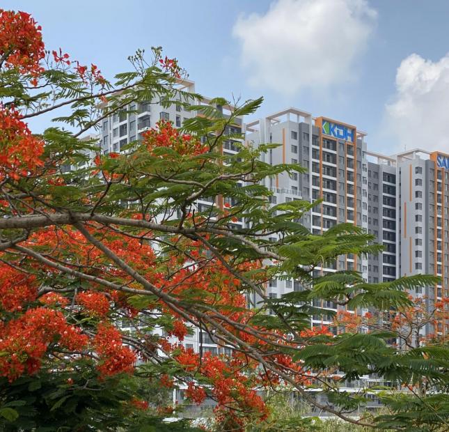 Bán những căn đẹp nhất dự án Safira Khang Điền, giá từ 1 tỷ 77.