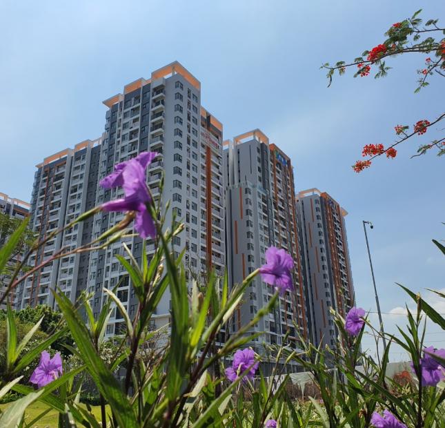 Còn vài căn hộ 1PN Safira Khang Điền, Quận 9 chuyển nhượng giá tốt, chỉ từ 1.77 tỷ.