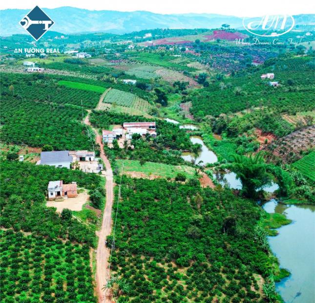 Đất vườn có thổ cư tại Lâm Hà, Lâm Đồng