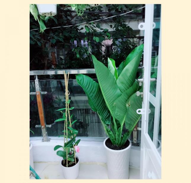 Nhà Tân Bình,Phường 10, Trần Văn Quang giá rẻ, đẹp, ở liền