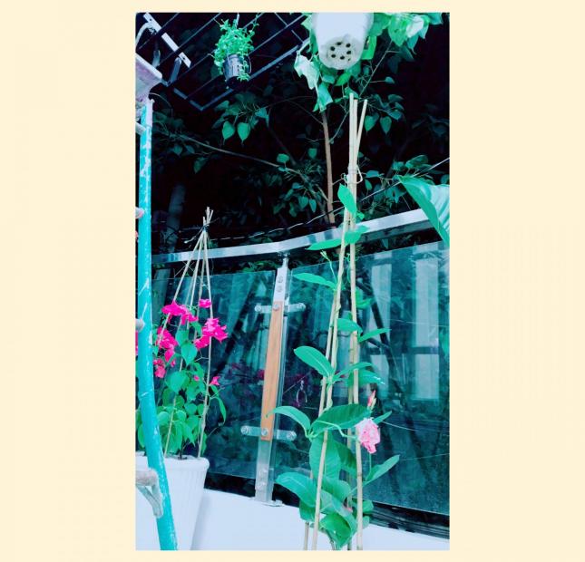 Nhà Tân Bình,Phường 10, Trần Văn Quang giá rẻ, đẹp, ở liền