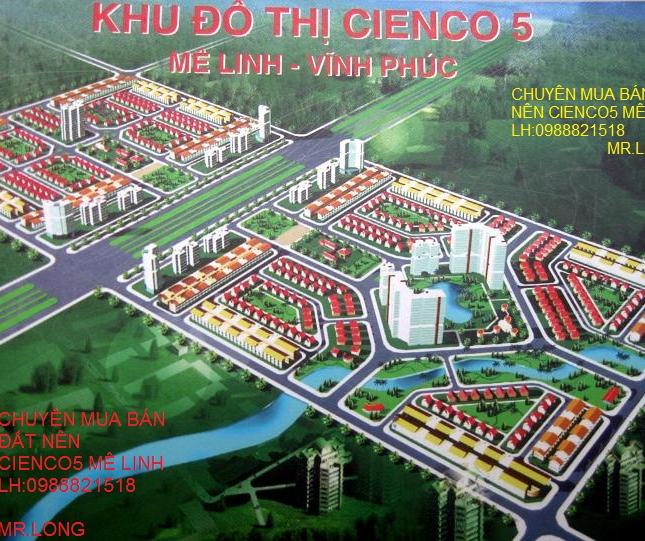 Bán đất nền dự Cienco5 Huyện Mê Linh. DT 300m2 và 375m2,400m2 Sổ Đỏ