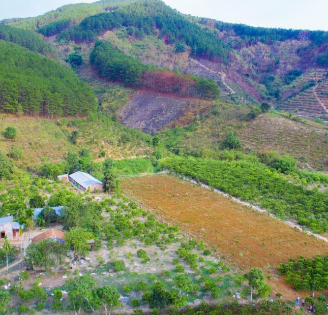 Bán mảnh đất 500m2 Xã Đông Thanh, Lâm Hà 520 triệu