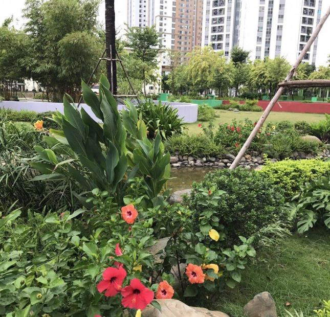Tuổi thơ trong con là Hồng Hà Eco City - Thành phố luôn xanh tươi giữa thiên nhiên bao la