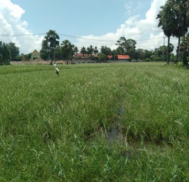 Chính chủ cần bán gấp đất ruộng tại ấp Vĩnh hạ, Vĩnh Trung, Tịnh Biên, An Giang