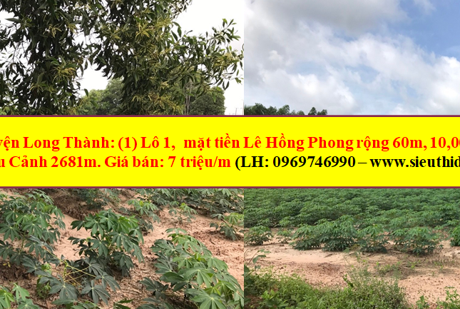 7 tr/ m- Đất mặt tiền 60m Nhơn Trạch, Đồng Nai, 1ha