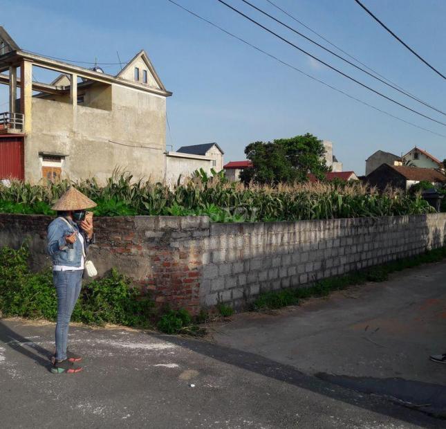 Chính chủ cần bán gấp lô đất đường nhựa 8m tới tận cửa nhà. Xã Lai Hạ - Lương Tài- Bắc Ninh.