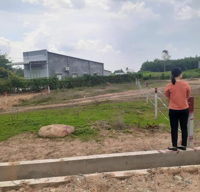 Bán đất tại Xã Tam Phước, Long Điền,  Bà Rịa Vũng Tàu diện tích 100m2