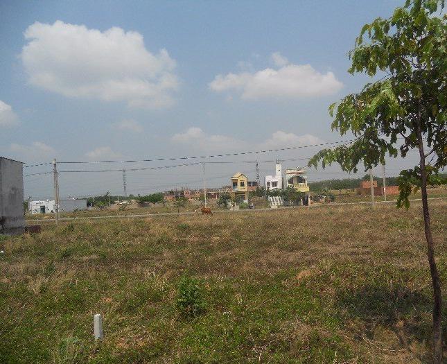 Bán đất mặt tiền đường Trần Phú ngay resort Marina Bay (Quang Hưng)