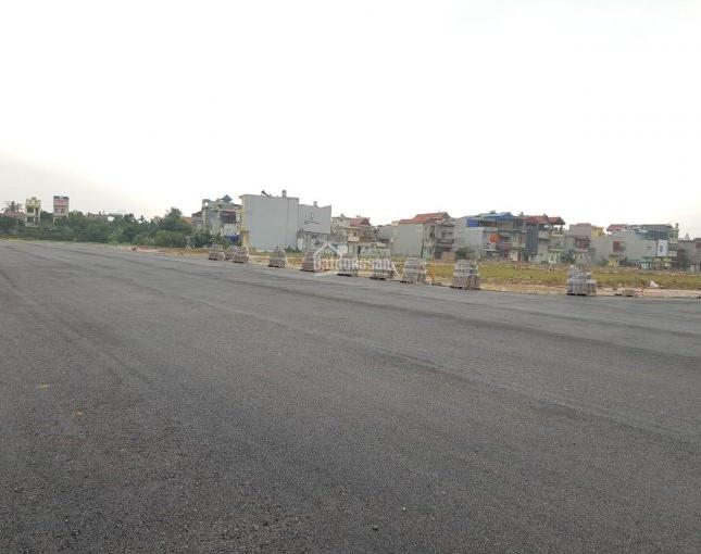 Bán đất nền dự án tái định cư tại Xã Nghĩa Lộ, Cát Hải, Hải Phòng diện tích 102m2