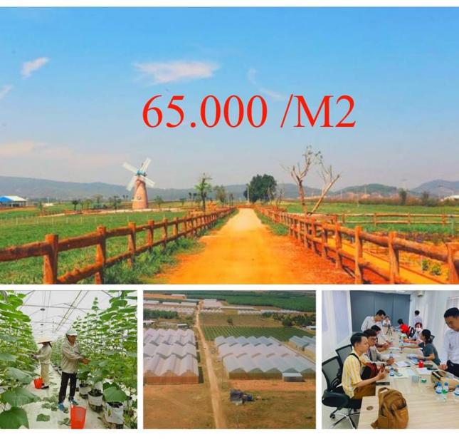 Cần tiền nhà em Bán gấp lô đất 21,781m2 chỉ có 1,089 tỷ