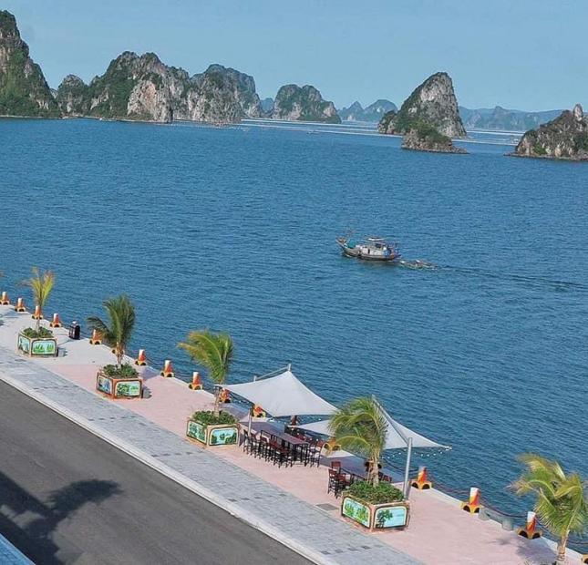 Đất nền ven biển dự án Phương Đông Vân Đồn