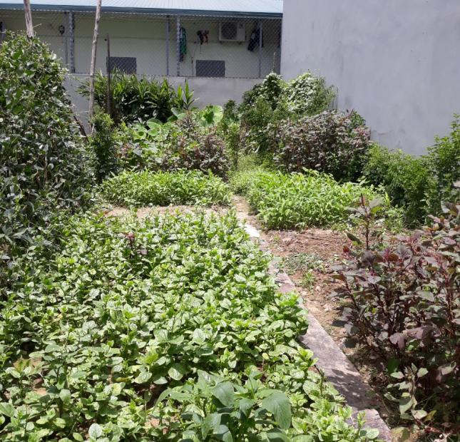 Bán đất tặng vườn rau sạch tại Gia Thụy Long Biên 52m2 giá sốc 2.35 tỷ.