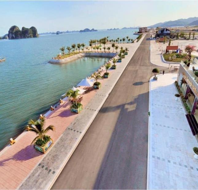  Đất nền Vân Đồn “1 trong 3 đặc khu kinh tế” đã được Thủ tướng phê duyệt quy hoạch 