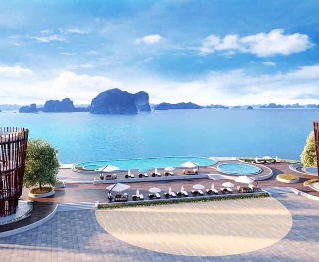  Đất nền Vân Đồn “1 trong 3 đặc khu kinh tế” đã được Thủ tướng phê duyệt quy hoạch 