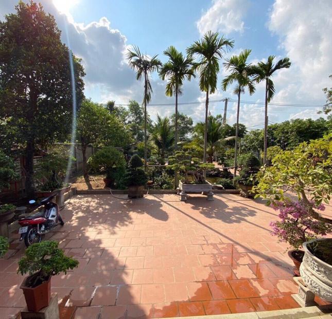 Bán nhà vườn 16.5 tỷ, 22x55m góc 2 mặt tiền đường an hạ,xã phạm văn hai, huyện bình chánh