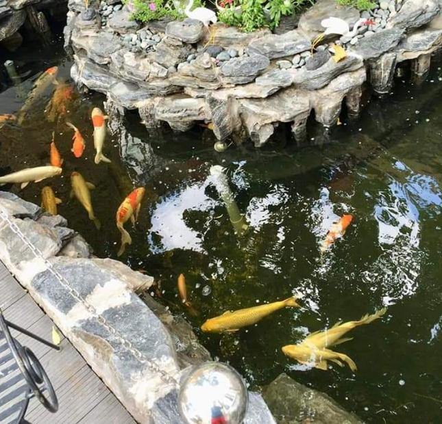 Bán nhà 17 tỷ 7.4mx17m 3 tấm 2 mặt tiền đường trần thủ độ, phường phú thạnh