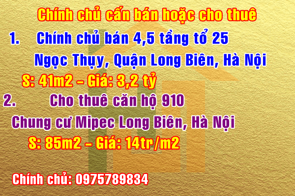 Cho thuê căn hộ chung cư Mipec Tòa A tầng 9 căn 10 Long Biên, Hà Nội