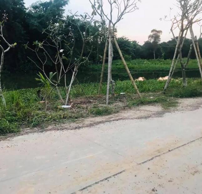 Bán đất tại Đường Cách Mạng Tháng Tám, Thuận An,  Bình Dương diện tích 380m2  giá 3.85 Tỷ