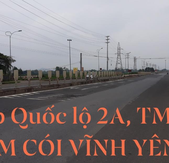 BÁN NHANH 2 LÔ (100M2/LÔ) ĐẤT KINH DOANH GIÁP TMS ĐẦM CÓI