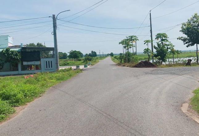BÁN ĐẤT MẶT TIỀN ĐƯỜNG NHỰA 8M TRUNG TÂM HUYỆN LONG ĐIỀN BÀ RỊA VT