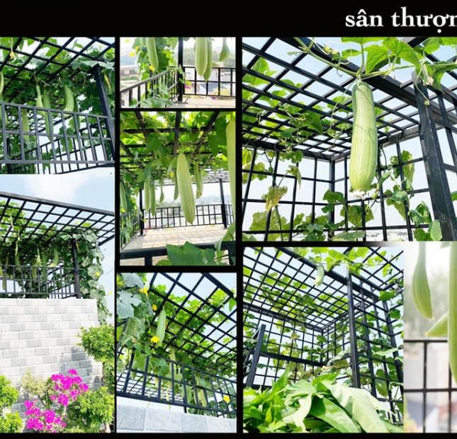 Nghệ Sỹ BÁN NHÀ Quang Trung, GV, HXT, 95m2, 5Tầng, giá 13.8Tỷ (TL)