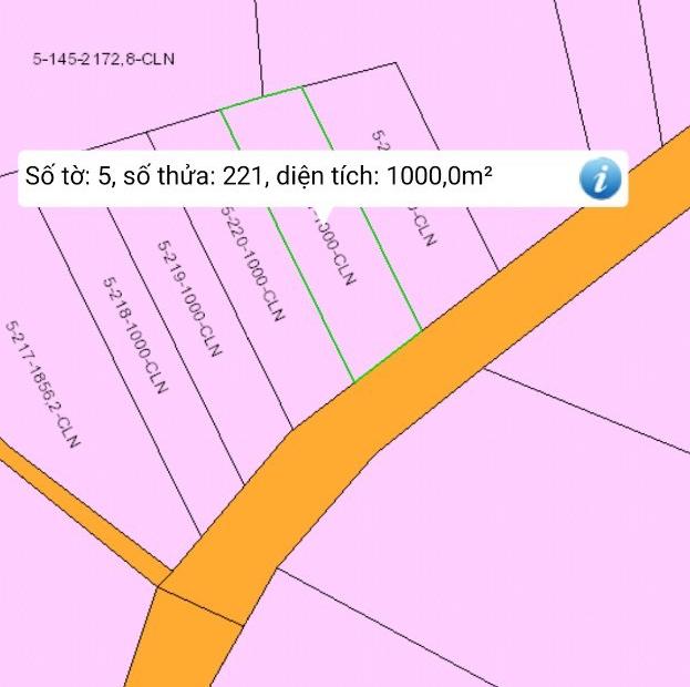 Bán đất tại Đường 51A, Long Thành,  Đồng Nai diện tích 1000m2  giá 3.2 Tỷ