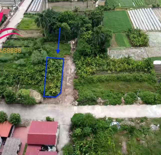 Bán lô đất đấu giá xã vân nội huyện Đông Anh, Hà Nội
