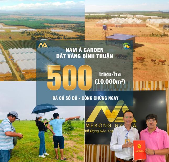 Giá trị thật nhận vàng từ đất nông nghiệp Bình Thuận. Lh: Mr Bình 0775.934.708