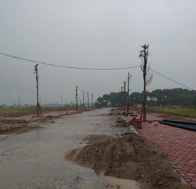 Bán đất nền dự án Dabaco Thuận Thành, TT Hồ, Bắc Ninh 0366442819