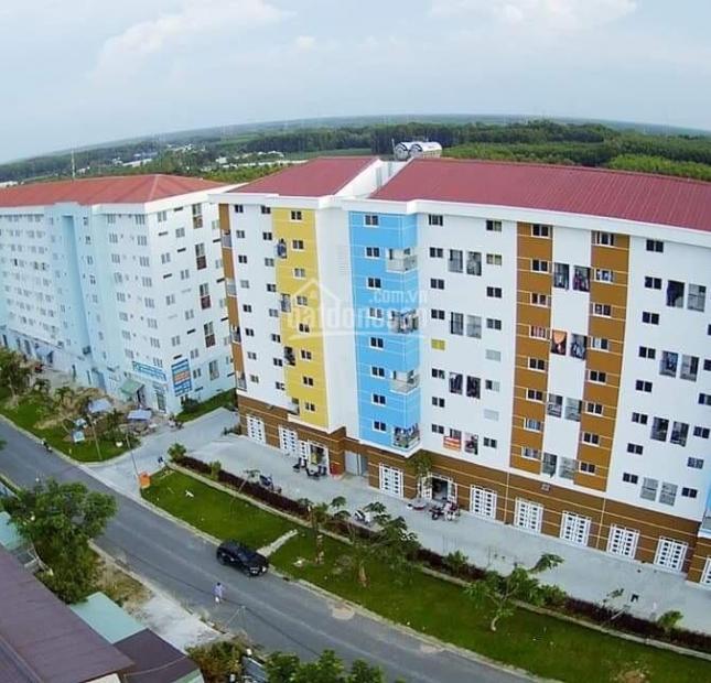 Bán căn hộ mini Nhơn Trạch, Đồng Nai, DT 33m2, chỉ 350 triệu/căn, SHR, 0938903118