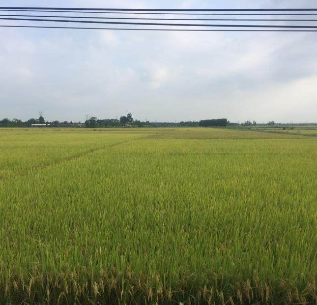 Bán đất thổ cư xã Trạm Lộ huyện Thuận Thành BN