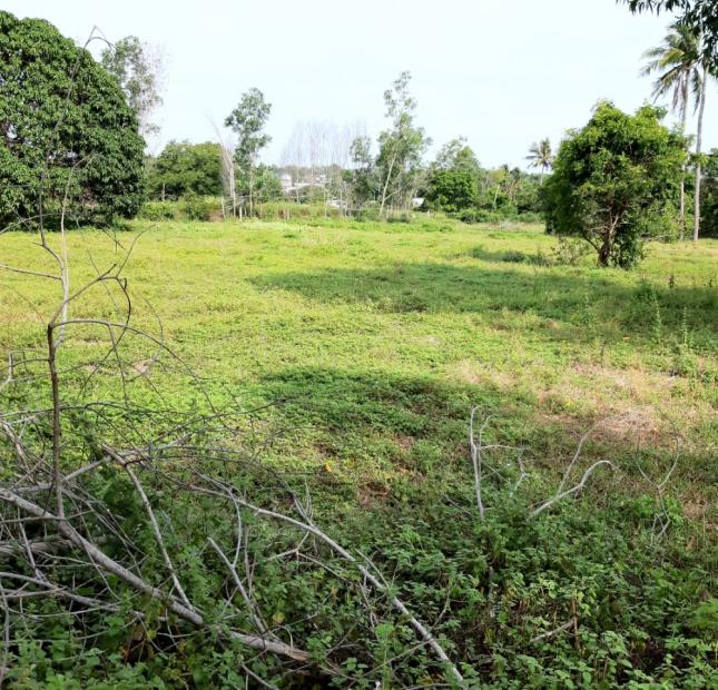 Bán lô đất 5552m2 gần Sân Bay Phan Thiết, giá 1 tỷ 800 triệu/sào