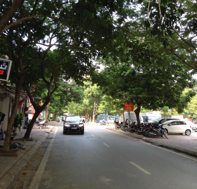 Khu vực hiếm bán, giá rẻ phố Hoàng Ngân-Thanh Xuân 48m2, 4.2 tỷ.