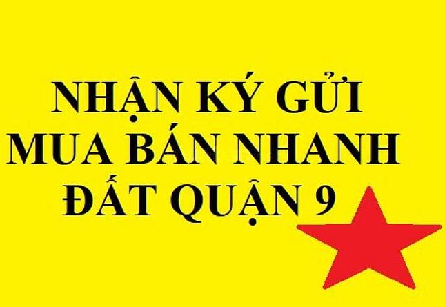 Bán đất nền dự án Phú Nhuận, Phước Long B, Quận 9, đường 20m, mặt tiền sông, giá tốt nhất