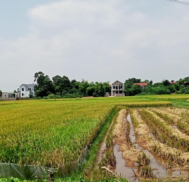 400M2 ĐẤT NHÀ VƯỜN TẠI GỜ GẠO, MINH TRÍ, SÓC SƠN #SSB68