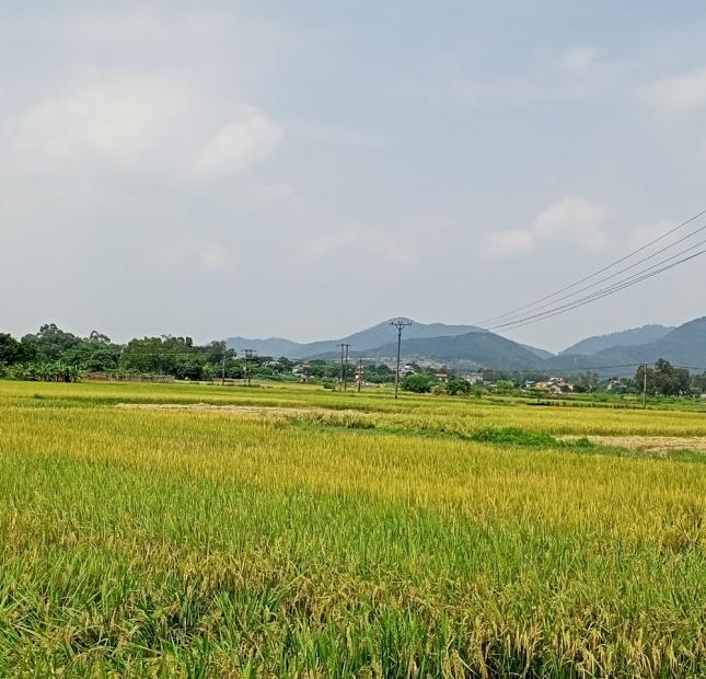 400M2 ĐẤT NHÀ VƯỜN TẠI GỜ GẠO, MINH TRÍ, SÓC SƠN #SSB68