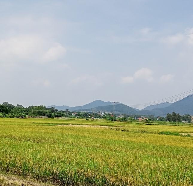 400M2 ĐẤT NHÀ VƯỜN TẠI GỜ GẠO, MINH TRÍ, SÓC SƠN #SSB68