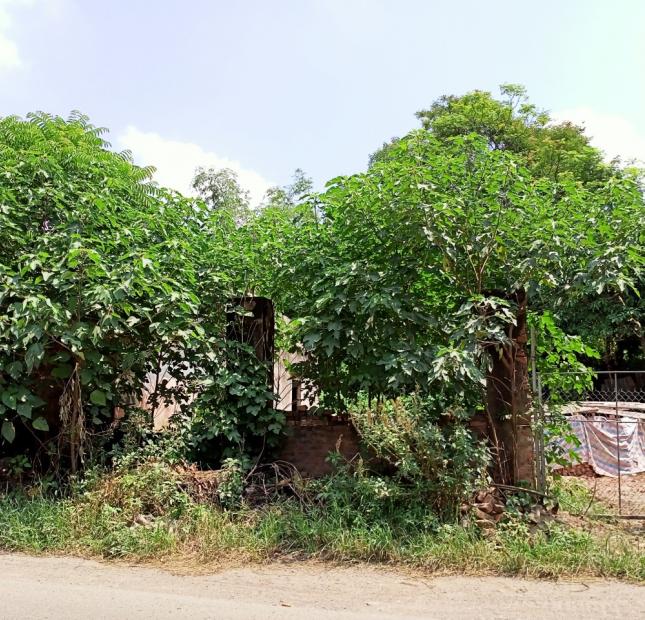 400M2 ĐẤT NHÀ VƯỜN TẠI GỜ GẠO, MINH TRÍ, SÓC SƠN #SSB68