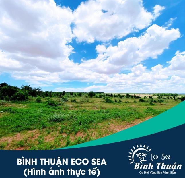 Đất Đầu Tư Ven Biển Bình Thuận EcoSea