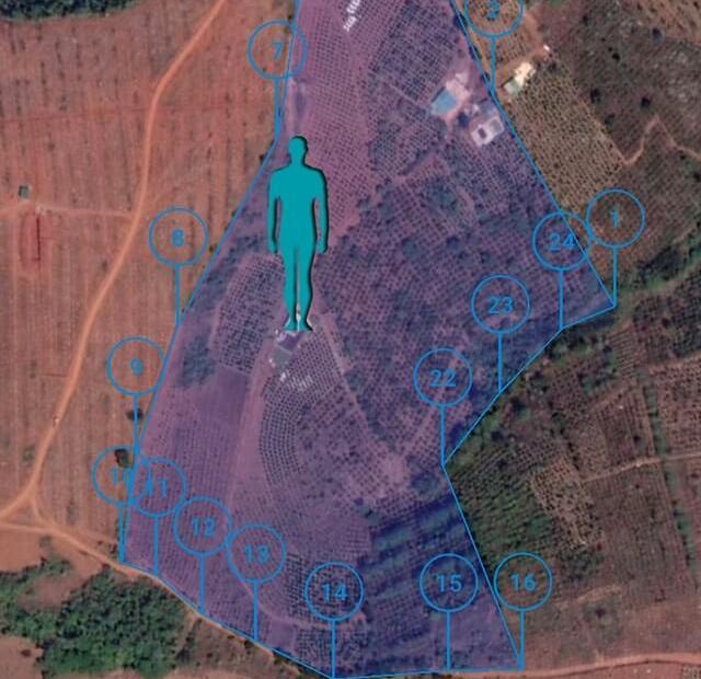 Bán rẫy diện tích gần 7ha tại Thôn 8, Xã Đắk Buk So, huyện Tuy Đức, tỉnh Đắk Nông