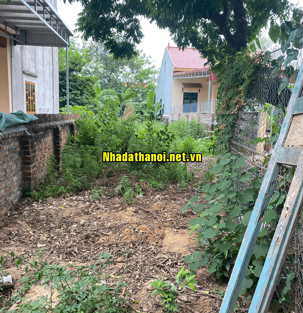 Bán đất mặt đường 131 Thôn Đan Tảo, Xã Tân Minh, Huyện Sóc Sơn, Hà Nội