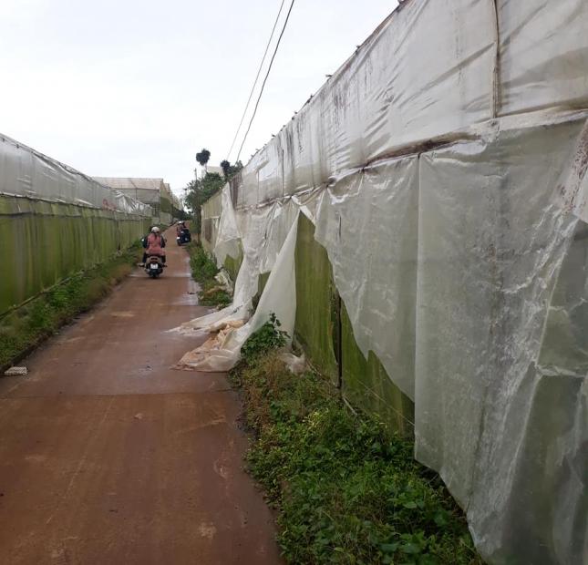 Chính chủ cần bán gấp lô đất sổ riêng nông nghiệp đường Trần Văn Côi– P5– Đà lạt