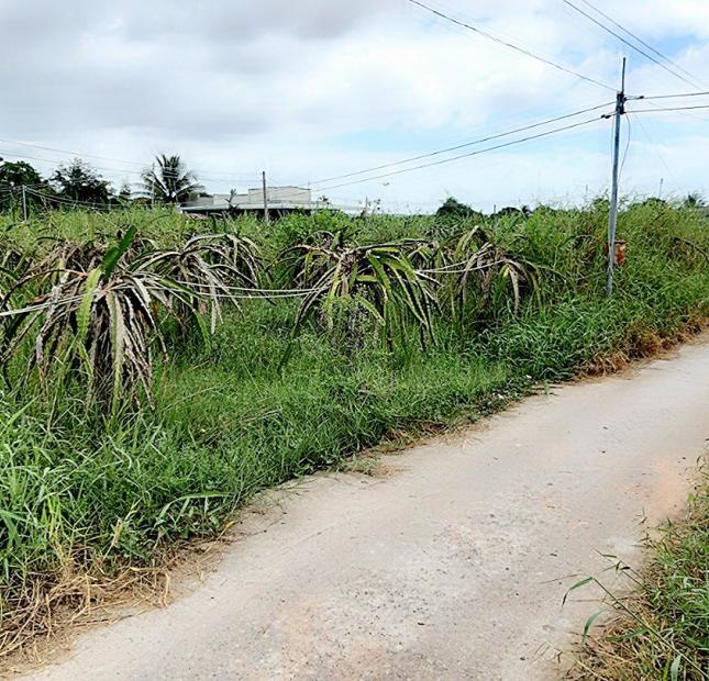Cần bán đất sào đẹp gần sông tại Hàm Thắng, TP. Phan Thiết