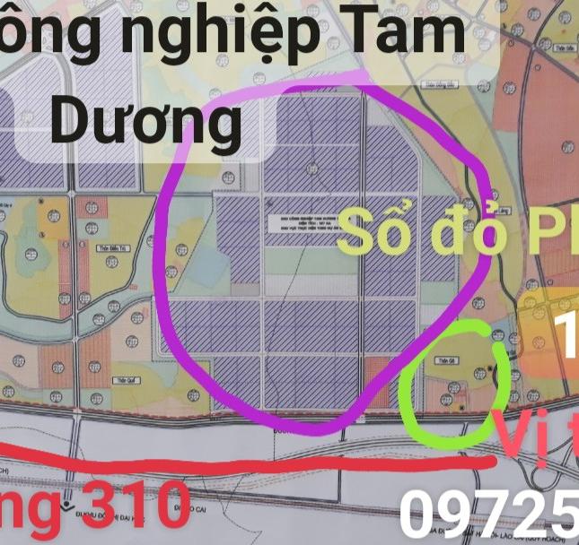 980 triệu, Mầm non Kim_Long, Tam_Dương- (500m Q Lộ 2B)