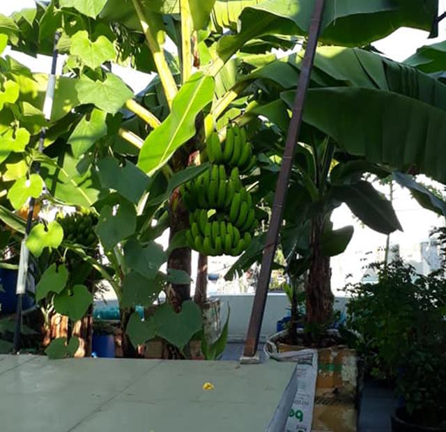 Nhà hẻm xe tải Trường Chinh, 64m2, 4 tầng, 4PN, 4.2x15.2, giá 7.3 tỷ, hàng ngộp, hiếm