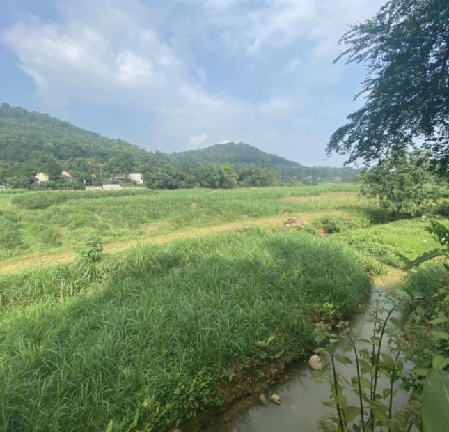 Cần bán mảnh đất 2,6ha 400m đất ONT, khuôn viên đầy đủ tại Hợp Thanh, Lương Sơn, Hòa Bình.