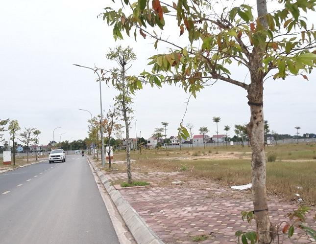 Bán Đất Dự Án Hiệp Hòa, Bắc Giang 110m2, mt5m Phân Lô, Ô Tô, Vỉa Hè 1.4 Tỷ