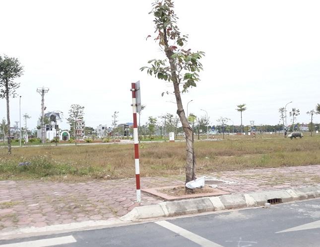 Bán Đất Dự Án Hiệp Hòa, Bắc Giang 110m2, mt5m Phân Lô, Ô Tô, Vỉa Hè 1.4 Tỷ